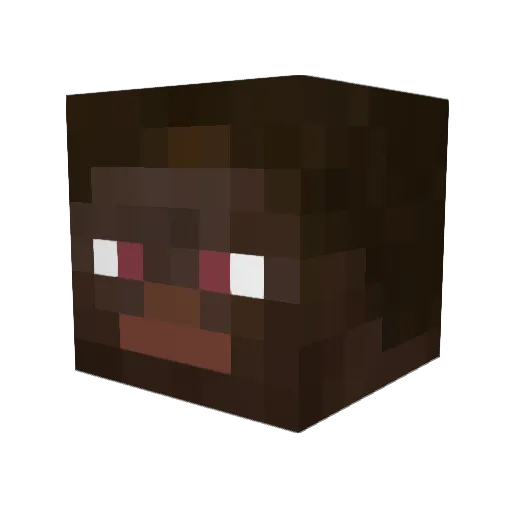 Petea570 Minecraft avatar head, 3D render