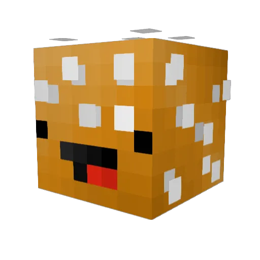 Peter1500 Minecraft avatar head, 3D render