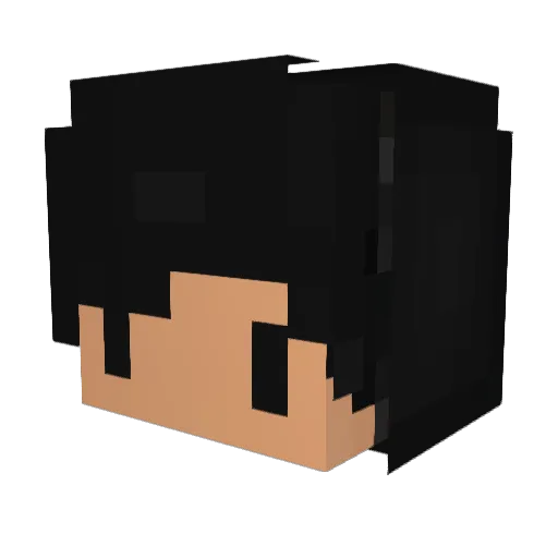PeterElavaran Minecraft avatar head, 3D render