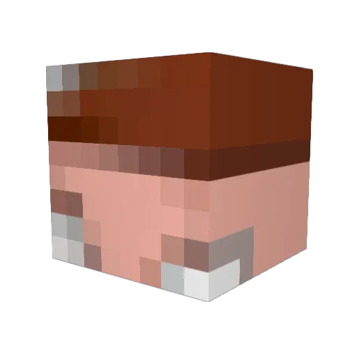 PeterGriffer Minecraft avatar head, 3D render