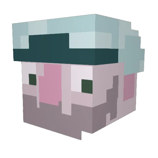 PeterLavigne Minecraft avatar head, 3D render