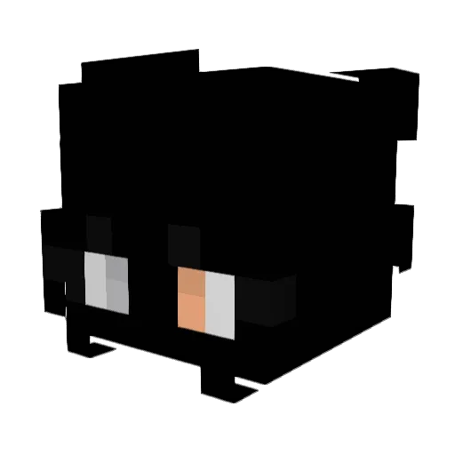 PeterMC20 Minecraft avatar head, 3D render
