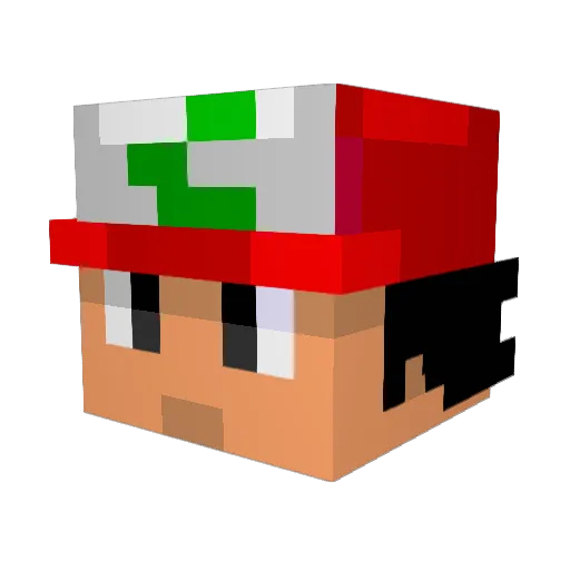 PeterPan110 Minecraft avatar head, 3D render