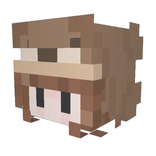 PeterParker0516 Minecraft avatar head, 3D render
