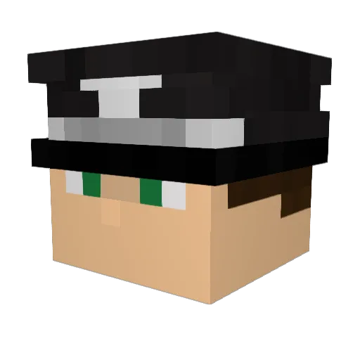PeterPeter2009 Minecraft avatar head, 3D render