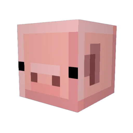 PeterPork Minecraft avatar head, 3D render