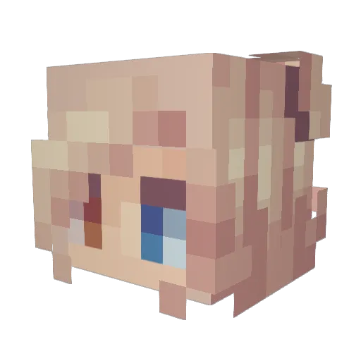 PeterRDVries69 Minecraft avatar head, 3D render