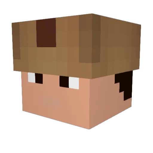 PeterStotz Minecraft avatar head, 3D render