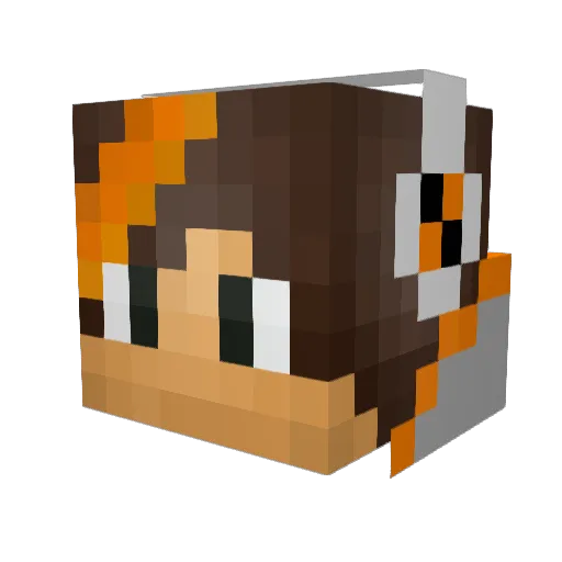 PeterStyle44 Minecraft avatar head, 3D render