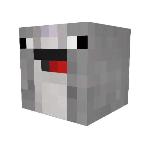 PeterThePanda10 Minecraft avatar head, 3D render
