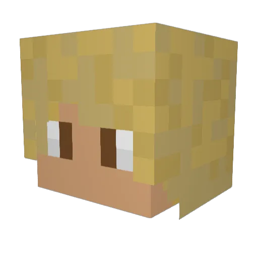 Peter_Arbeitslos Minecraft avatar head, 3D render