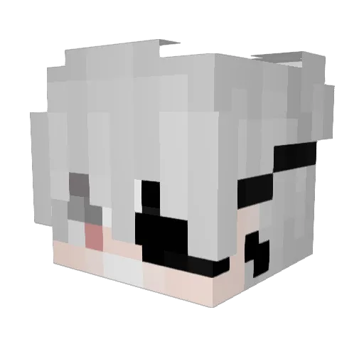 Peter_Griffin2 Minecraft avatar head, 3D render