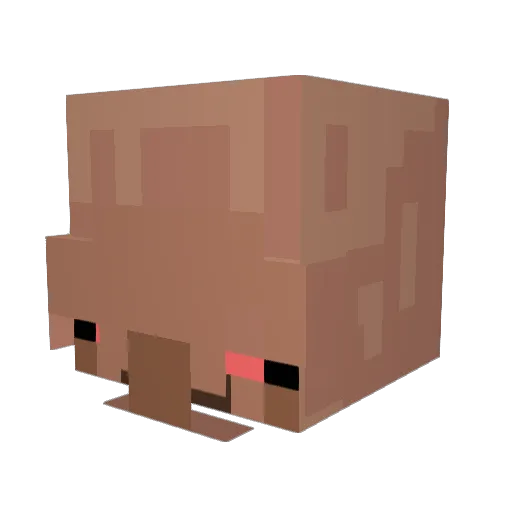 Peter__Kran Minecraft avatar head, 3D render