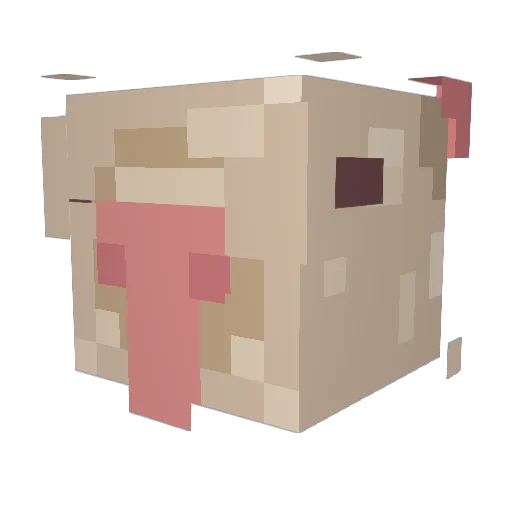 Peter___G Minecraft avatar head, 3D render