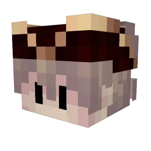 Peter_etc Minecraft avatar head, 3D render