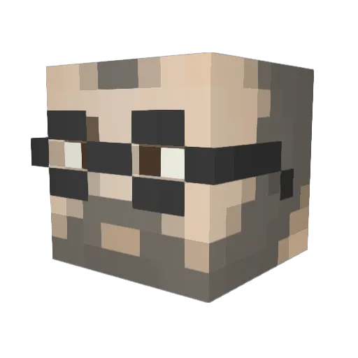 Peterjoachim Minecraft avatar head, 3D render
