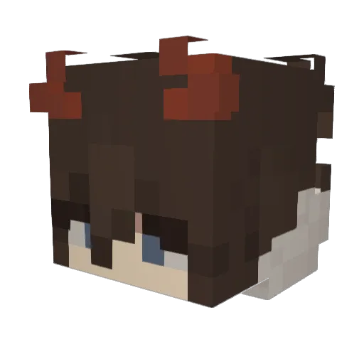 Peteroops Minecraft avatar head, 3D render