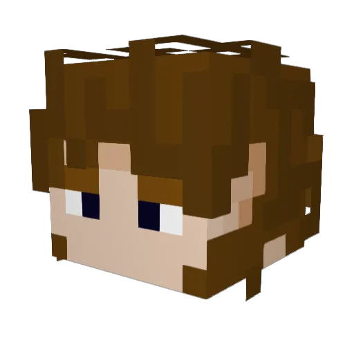 Peterstoftson Minecraft avatar head, 3D render