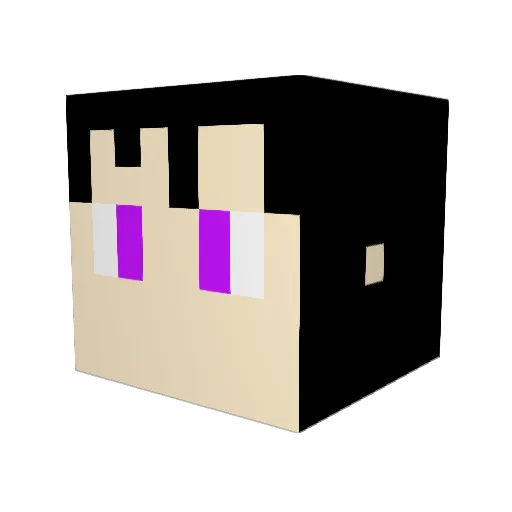 Petetoy Minecraft avatar head, 3D render