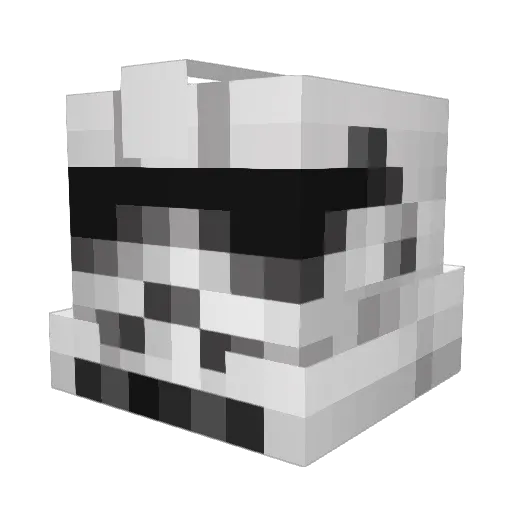 PeteyBird09 Minecraft avatar head, 3D render