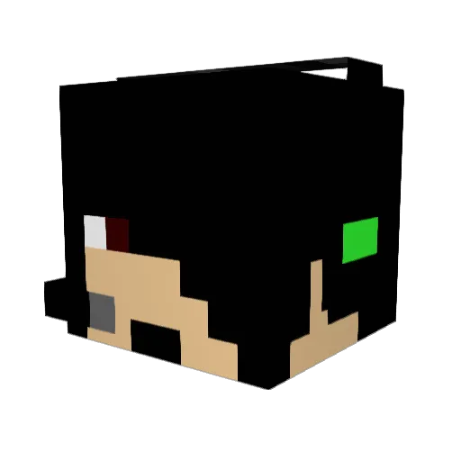 Pethetickoo Minecraft avatar head, 3D render