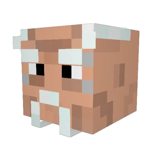 Peti26 Minecraft avatar head, 3D render