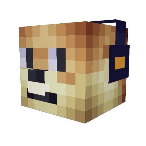 PetiscoMC Minecraft avatar head, 3D render