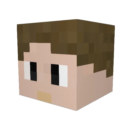 PetitCoquin42 Minecraft avatar head, 3D render