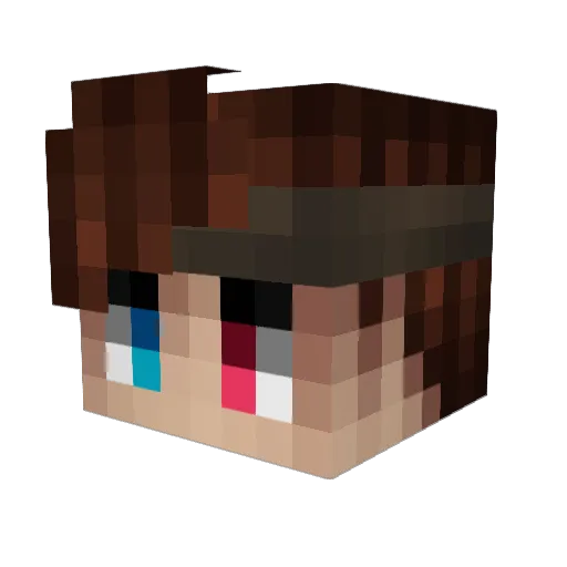 PetitJibus Minecraft avatar head, 3D render