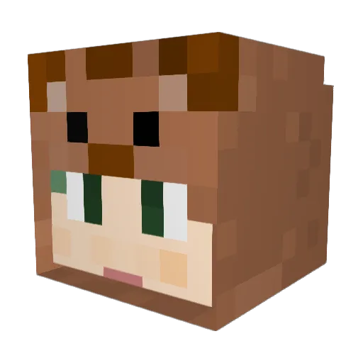 Petitbois Minecraft avatar head, 3D render