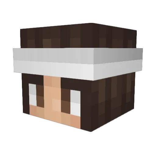 PetiteCerise Minecraft avatar head, 3D render