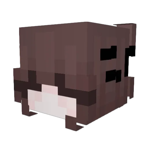 PetiteEnola Minecraft avatar head, 3D render