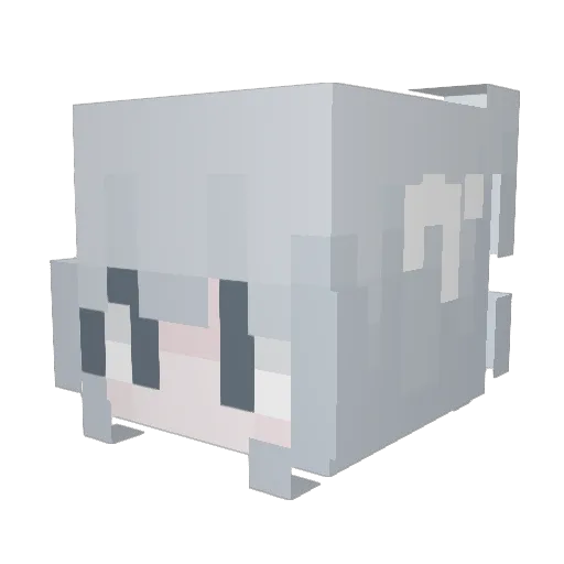 PetiteKitten420 Minecraft avatar head, 3D render