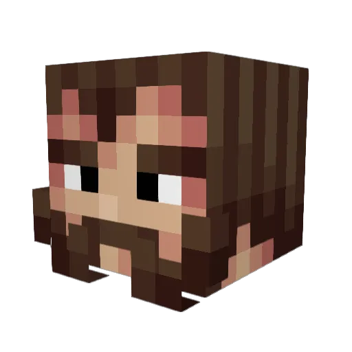 PetiteMoustache Minecraft avatar head, 3D render