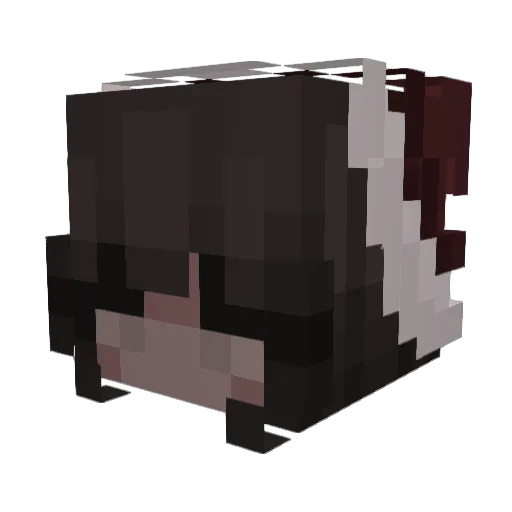 PetitePute Minecraft avatar head, 3D render