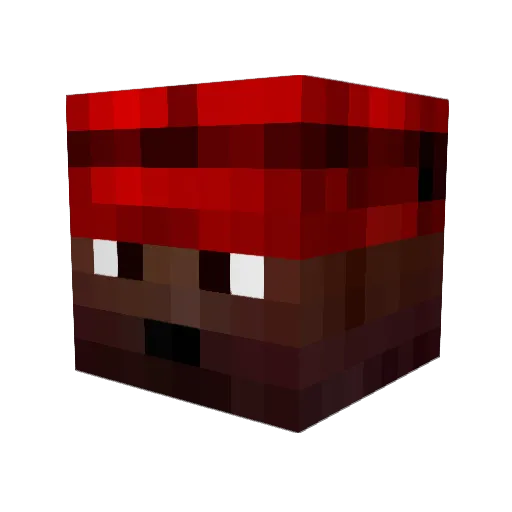 Petone_ Minecraft avatar head, 3D render