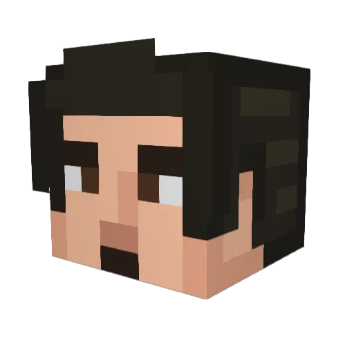 Petoria489 Minecraft avatar head, 3D render