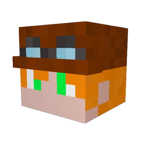 Petoron Minecraft avatar head, 3D render