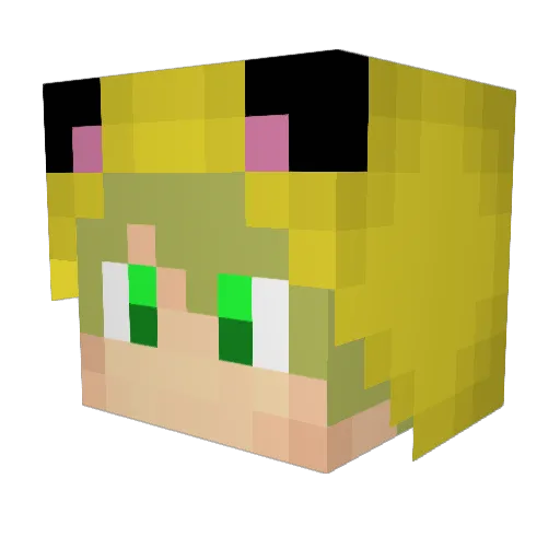 Petr6996 Minecraft avatar head, 3D render