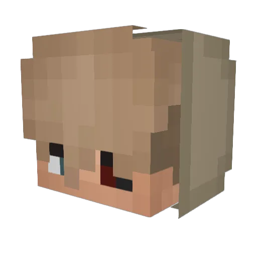PetrPlay Minecraft avatar head, 3D render