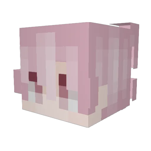 PetrYan Minecraft avatar head, 3D render