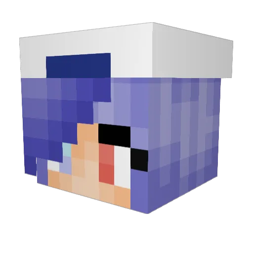 Petra9 Minecraft avatar head, 3D render