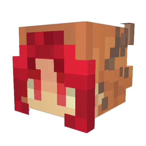 PetraLover Minecraft avatar head, 3D render