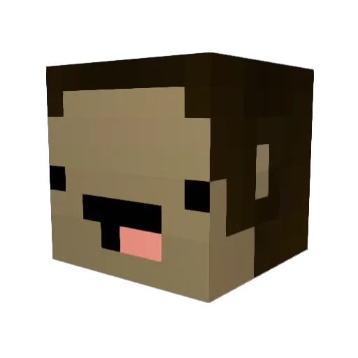 PetracoSuperTaco Minecraft avatar head, 3D render