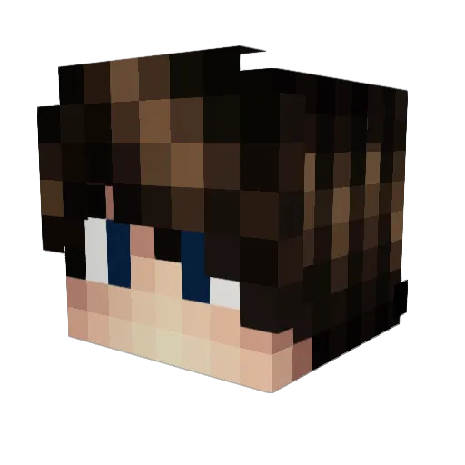 Petrann_ Minecraft avatar head, 3D render