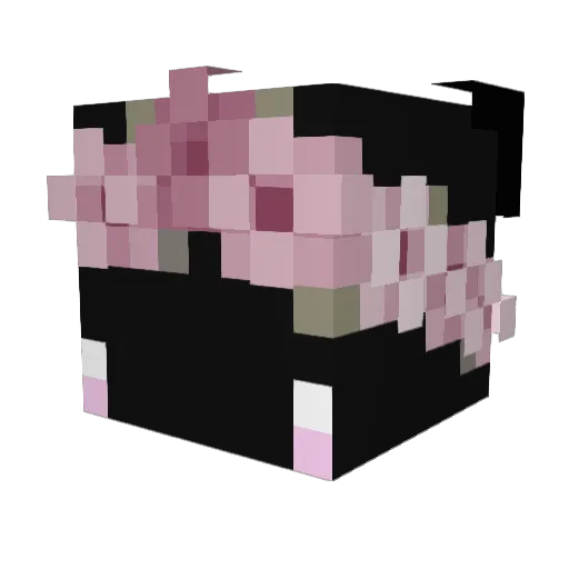 Petriana Minecraft avatar head, 3D render