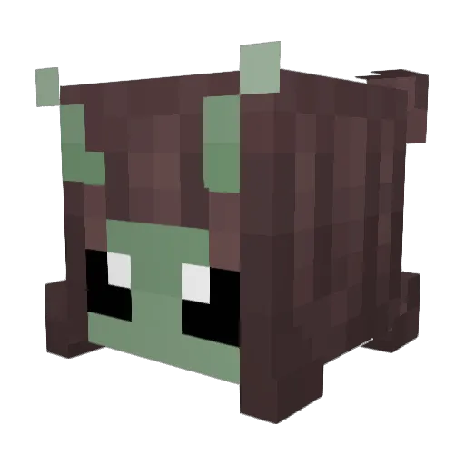 Petrickao Minecraft avatar head, 3D render