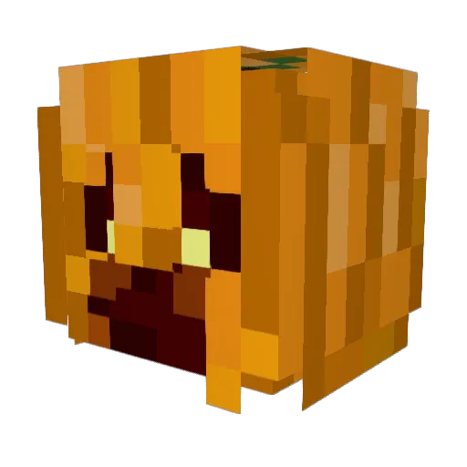 Petricola Minecraft avatar head, 3D render