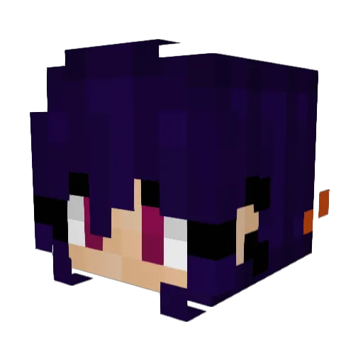 Petrie_toast Minecraft avatar head, 3D render