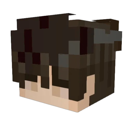 Petrik_637 Minecraft avatar head, 3D render